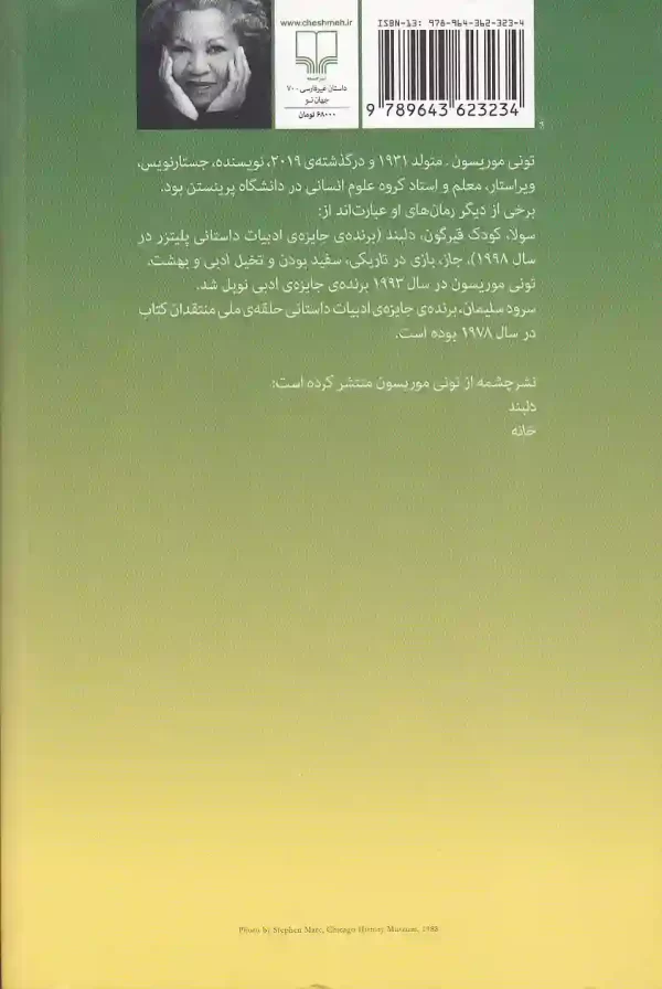 تصویر کتاب سرود سلیمان اثر تونی موریسون نشر چشمه کتاب سرود سلیمان اثر تونی موریسون نشر چشمه - image 2