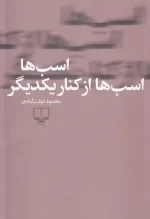 کتاب اسب ها اسب ها از کنار یکدیگر اثر محمود دولت آبادی نشر چشمه