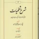 کتاب شرح شطحیات اثر شیخ روزبهان بقلی شیرازی انتشارات طهوری - ماهان کتاب