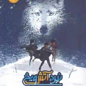 کتاب نبرد آتش و یخ 1 : گرگ های یخی اثر ایمی کافمن انتشارات پرتقال