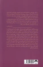 کتاب نمی توانی به من آسیب بزنی اثر دیوید گاگینز - Image 2