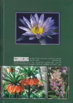 کتاب گیاهان دارویی اثر مهدی خسروی نشر محمد - Image 2