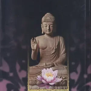 کتاب بودا کیست و پیامش چیست اثر عبدالعظیم رضایی نشر پیکان